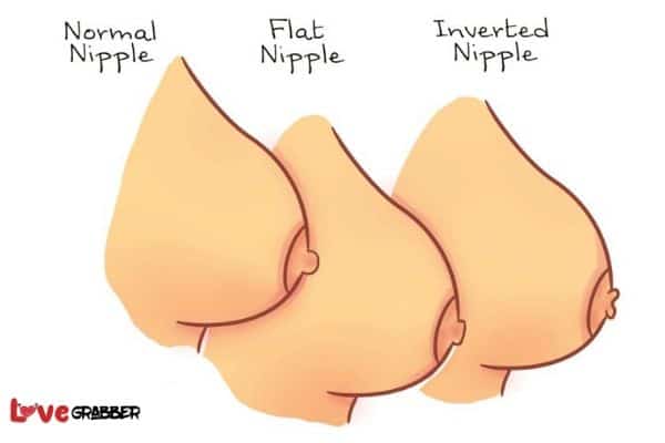 Which part of their body do women love getting licked and touched? 5 Her nipples