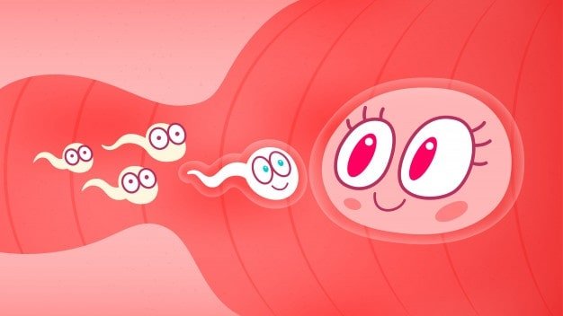 sperm egg cartoon style 57064 8 What does it feel like for a woman when a man cum inside of her?