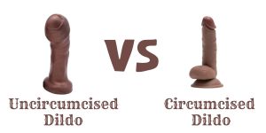 Read more about the article How an uncircumcised dildo is different from a circumcised dildo