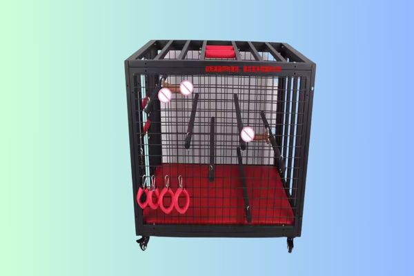 Best BDSM Cages: The Kinky Playground You Never Knew You Needed 1 Bdsm cages Best BDSM Cages: The Kinky Playground You Never Knew You Needed