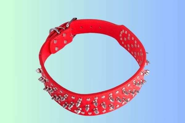 BDSM Collars: More Than Just a Fashion Statement 3 Bdsm collar 3 BDSM Collars: More Than Just a Fashion Statement