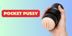 Read more about the article Pocket Pussies: The Handy Dandy Fun Factory