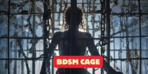 Read more about the article Best BDSM Cages: The Kinky Playground You Never Knew You Needed