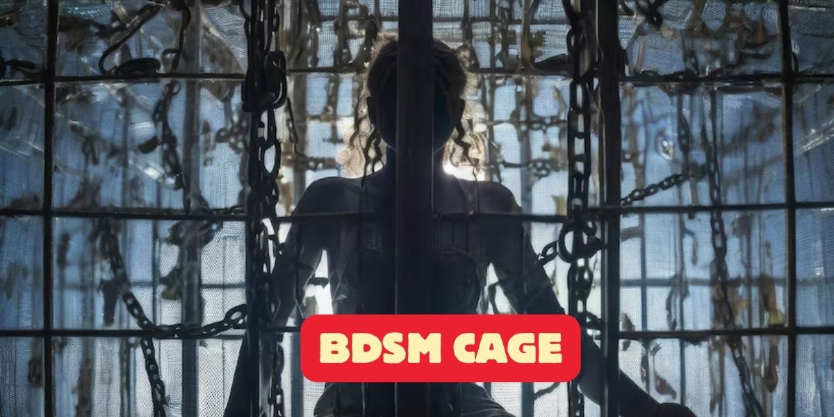 Read more about the article Best BDSM Cages: The Kinky Playground You Never Knew You Needed