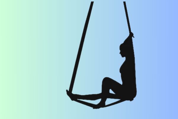 sex swing Sex Swings: The Ride of Your Life